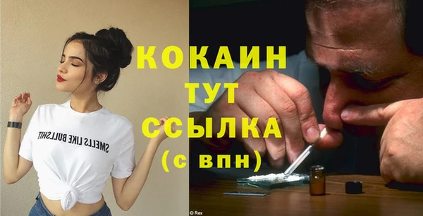 spice Новодвинск