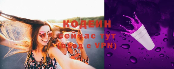 шишки Нязепетровск