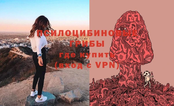 дмт Нефтегорск