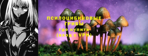 MDMA Гусиноозёрск