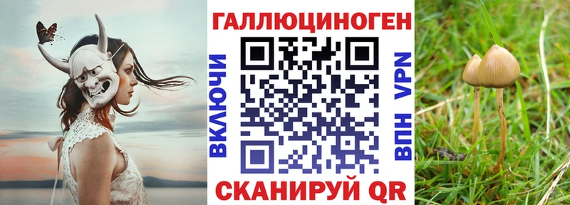 купить наркотик  hydra рабочий сайт  Псилоцибиновые грибы ЛСД  Микунь 